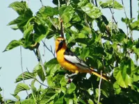 DSCN6126.webp