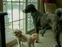 rainy day 1.webp
