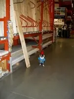 dog2.webp