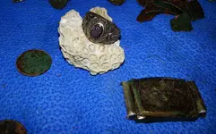 20140517_192905.webp