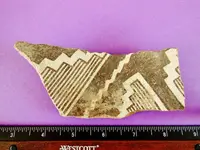 DSCN0800.webp