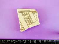 DSCN0802.webp