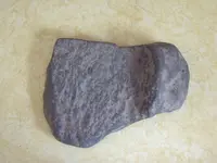 DSCF6203.webp