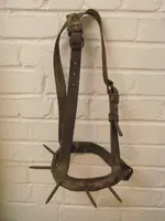 weaning halter.webp