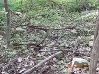 My Finds From Today 007.webp My Finds From Today 007.webp