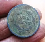 5-17 LC back.webp