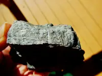 DSCN1592.webp
