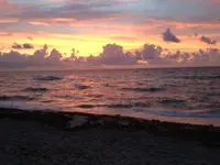 image-2665097182.webp