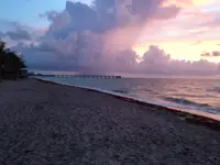 image-269147534.webp