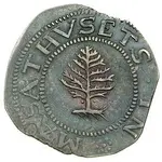 pine.webp