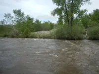 DSCN0959.webp