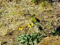 DSCN3871.webp