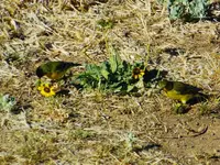 DSCN3876.webp