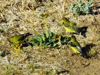 DSCN3877.webp