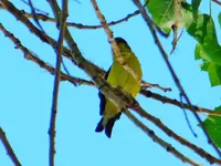 DSCN4977.webp