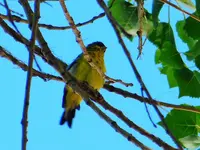 DSCN4978.webp