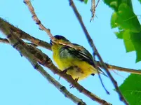 DSCN4980.webp