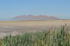 1888716_10152051364597131_3803052086291697714_n.webp