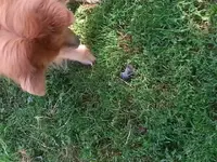 20140617_164542.webp