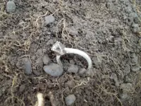 101_0153.webp 101_0153.webp