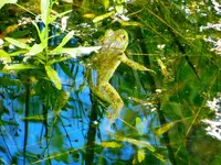 DSCN5172.webp