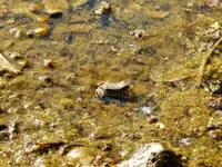 DSCN6382.webp