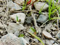 DSCN6392.webp