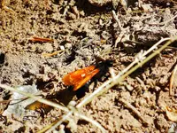 DSCN4011.webp