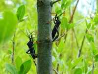 DSCN5235.webp
