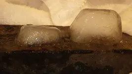 IMGP1701.webp