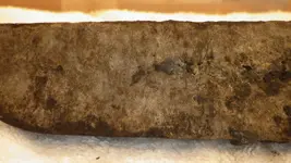 IMGP1702.webp