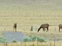 DSCN3354.webp
