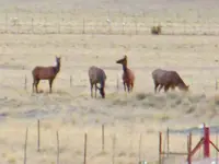 DSCN3361.webp