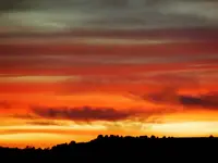 DSCN3485.webp