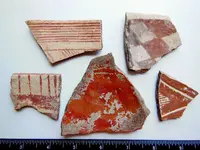DSCN1375.webp