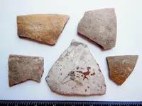 DSCN1376.webp