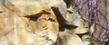 156.webp 156.webp