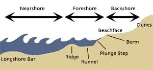 beachfig.webp beachfig.webp