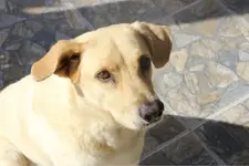 image-560549362.webp