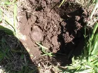 05-19-2014 Easter Shore Cessford 004.webp