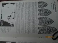 found 010.webp