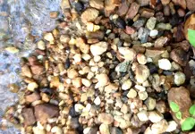 photo 1.webp