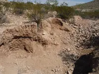 DSCF0341.webp