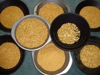 goldpans.webp