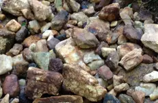 photo 2.webp