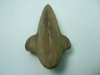 DSCF5347.webp