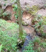 photo 7.webp