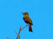 DSCN4364.webp