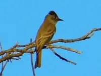 DSCN4376.webp