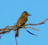 DSCN4379.webp